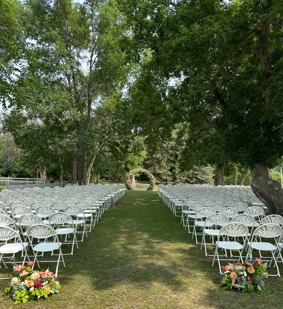Tree-lined aisle